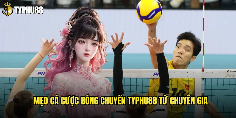 Mẹo cá cược bóng chuyền Typhu88 từ chuyên gia