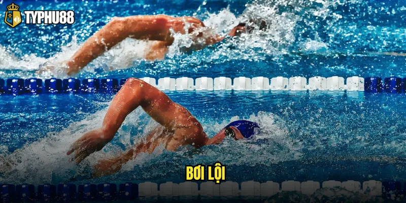 bơi lội
