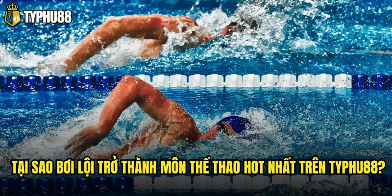 Tại sao bơi lội trở thành môn thể thao hot nhất trên Typhu88?