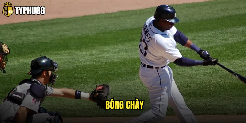 bóng chày