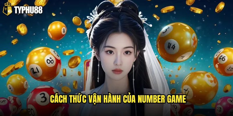 Cách thức vận hành của Number game