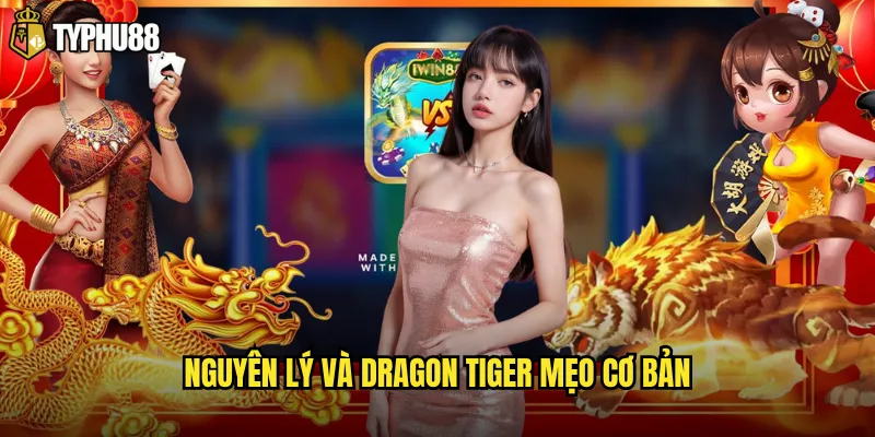 Nguyên lý và Dragon Tiger mẹo cơ bản