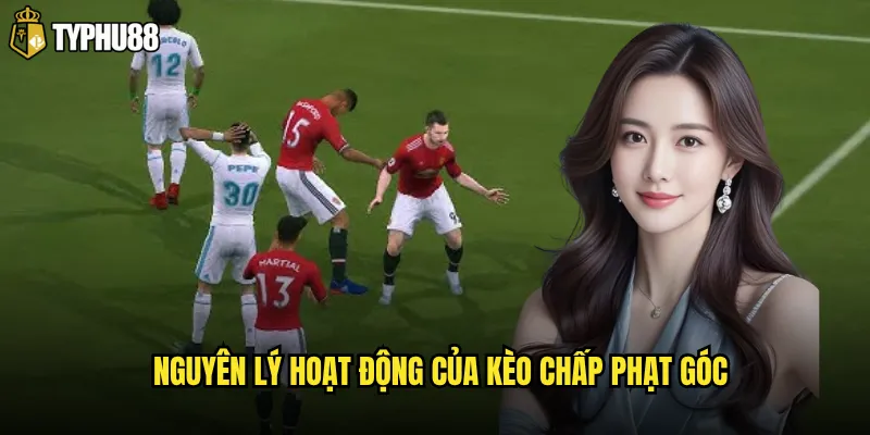 Nguyên lý hoạt động của kèo chấp phạt góc